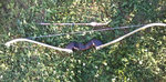 2013-07-06 19.50.43.jpg