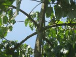 IMG_0761.jpg