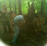 Treffen bedeutet allerdings , den Pfeil aus was rausziehen zu müssen, in dem er rattenfest drinsteckt