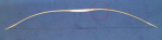 255_1267654684.jpg