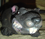 ratte4.jpg