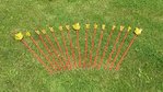 20130829_135923kl.jpg