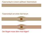 Faserverlauf_Ast.JPG