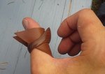 20130915_163140.jpg