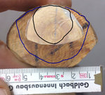 die beiden Enden skaliert übereinander projeziert