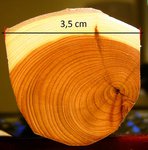 BILD5844.JPG (262.96 KiB) 6110 mal betrachtet Reststück des verwendeten Staves