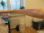 IMG_0229.jpg
