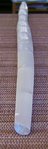 BILD2419.JPG