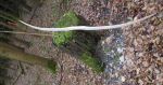 P1010068.JPG