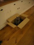 DSC07187.jpg