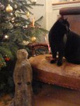 DSC07189.jpg