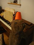 DSC07198.jpg