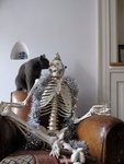 Cyril und Mumu (eigentlich Muriel) ...und Haugott in der Nische.