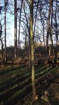 Im Habitat