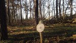 K800_DSCF1241 (1024x577).jpg