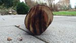 DSC00417.JPG