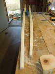 den Rücken noch schnell grob sauber gemacht, aber noch nicht den eigentlichen Rückenring freigelegt, das Holz ist noch zu nass...