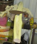 SapArm010Anfang.jpg