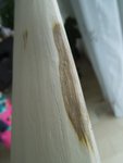 DSCN4691.jpg