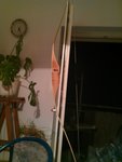 IMAG0797.jpg
