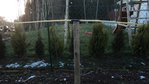 DSC02716.JPG