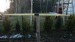 DSC02717.JPG