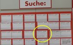 Suche_Holz_B.jpg