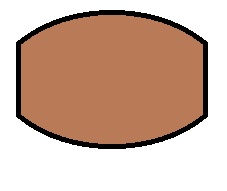 Linsenquerschnitt dick.jpg