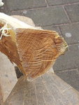 Schöne Ringe