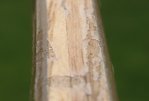 marbowlack01.jpg
