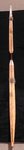 DSCI1596.jpg
