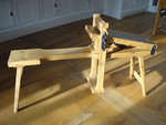 DSC07503.jpg