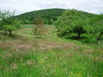 Die Landschaft des Parcours