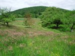 Impressionen von der Landschaft und den Zielen. Auf der Homepage des Parcours steht &quot;anspruchsvoll&quot;. Das kann ich unterschreiben.