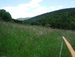 DSCF0022.JPG