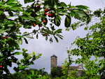 burg-2.JPG