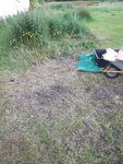 DSCF6153.JPG (714.18 KiB) 4534 mal betrachtet Der Standort des Ofens wurde ausgesucht...