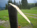 IMG_8935.JPG