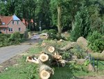 Gewittersturmschaden Linden+Pappeln.jpg