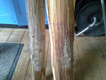 Trocknungsrisse ohne Ende