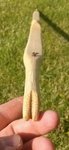 IMG-20140724-WA0017.jpg