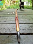...entspannt mit Katze