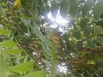 rps20140803_175646.jpg