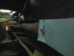 ulme 5,60 1024.jpg
