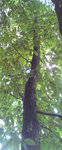 IMAG0283.jpg