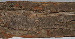 PA057268_A.JPG