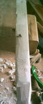 PICT0009.JPG