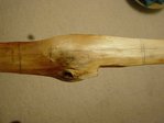 DSC04491.JPG