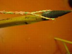 DSC04504.JPG