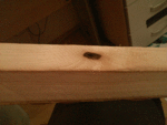 WP_20141030_010.gif